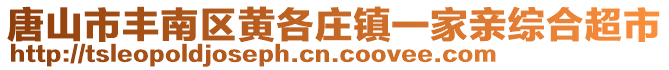 唐山市豐南區黃各莊鎮一家親綜合超市