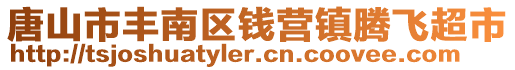 唐山市豐南區(qū)錢營鎮(zhèn)騰飛超市