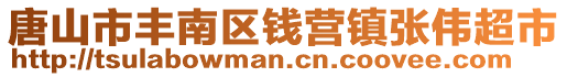 唐山市豐南區錢營鎮張偉超市