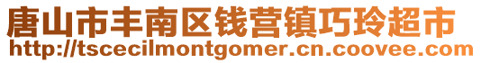 唐山市豐南區錢營鎮巧玲超市