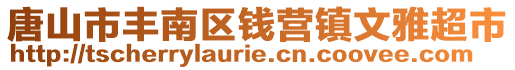 唐山市豐南區(qū)錢營鎮(zhèn)文雅超市