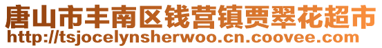 唐山市豐南區錢營鎮賈翠花超市