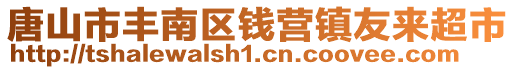 唐山市豐南區(qū)錢營鎮(zhèn)友來超市