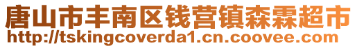 唐山市豐南區錢營鎮森霖超市