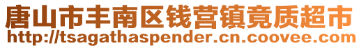 唐山市豐南區錢營鎮竟質超市