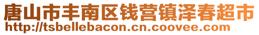 唐山市豐南區錢營鎮澤春超市
