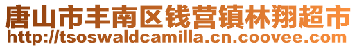 唐山市豐南區(qū)錢營鎮(zhèn)林翔超市