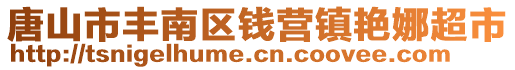 唐山市豐南區錢營鎮艷娜超市