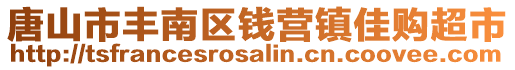 唐山市豐南區(qū)錢營鎮(zhèn)佳購超市