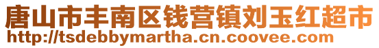 唐山市豐南區錢營鎮劉玉紅超市