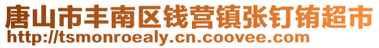 唐山市豐南區錢營鎮張釘銪超市