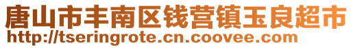 唐山市豐南區(qū)錢營鎮(zhèn)玉良超市