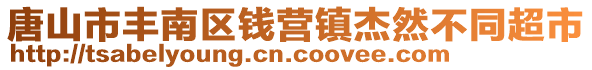 唐山市豐南區(qū)錢營鎮(zhèn)杰然不同超市