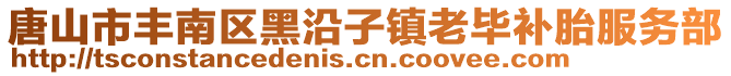 唐山市豐南區(qū)黑沿子鎮(zhèn)老畢補胎服務(wù)部