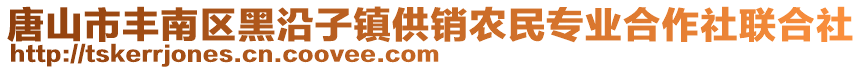 唐山市豐南區(qū)黑沿子鎮(zhèn)供銷農(nóng)民專業(yè)合作社聯(lián)合社