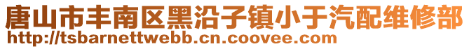 唐山市豐南區(qū)黑沿子鎮(zhèn)小于汽配維修部