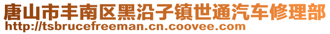 唐山市豐南區(qū)黑沿子鎮(zhèn)世通汽車修理部