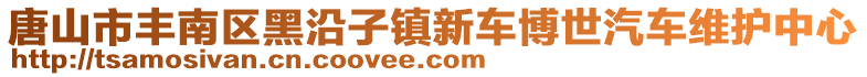 唐山市豐南區(qū)黑沿子鎮(zhèn)新車博世汽車維護(hù)中心