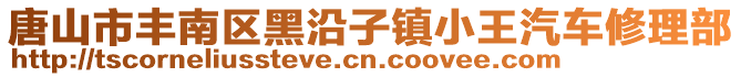 唐山市豐南區(qū)黑沿子鎮(zhèn)小王汽車修理部