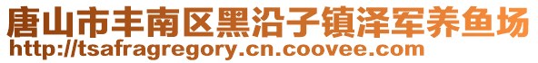 唐山市豐南區(qū)黑沿子鎮(zhèn)澤軍養(yǎng)魚場