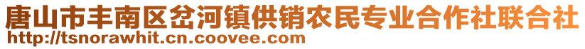 唐山市豐南區(qū)岔河鎮(zhèn)供銷農(nóng)民專業(yè)合作社聯(lián)合社