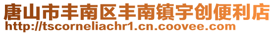 唐山市豐南區豐南鎮宇創便利店