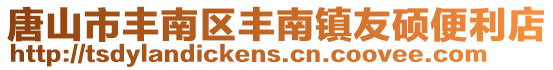 唐山市豐南區(qū)豐南鎮(zhèn)友碩便利店