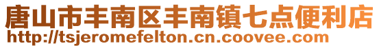唐山市豐南區(qū)豐南鎮(zhèn)七點(diǎn)便利店