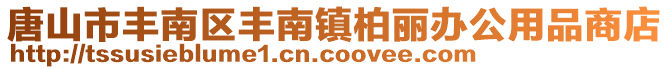 唐山市豐南區(qū)豐南鎮(zhèn)柏麗辦公用品商店