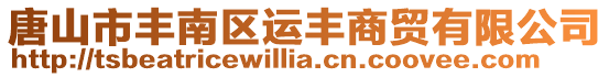 唐山市豐南區運豐商貿有限公司