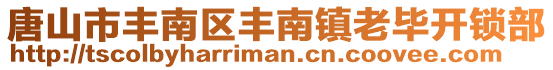 唐山市豐南區(qū)豐南鎮(zhèn)老畢開鎖部