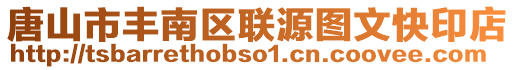 唐山市豐南區聯源圖文快印店