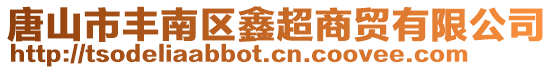 唐山市豐南區鑫超商貿有限公司