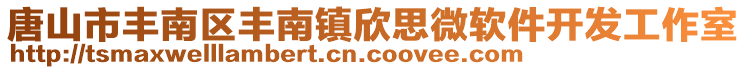 唐山市豐南區(qū)豐南鎮(zhèn)欣思微軟件開發(fā)工作室