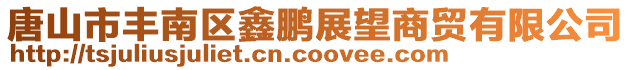 唐山市豐南區鑫鵬展望商貿有限公司