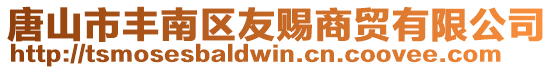 唐山市豐南區友賜商貿有限公司