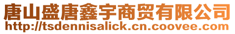 唐山盛唐鑫宇商貿有限公司