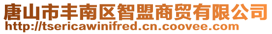 唐山市豐南區智盟商貿有限公司