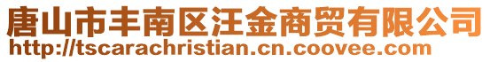 唐山市豐南區汪金商貿有限公司