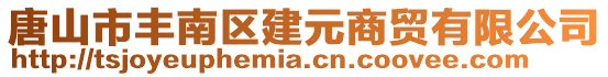 唐山市豐南區建元商貿有限公司