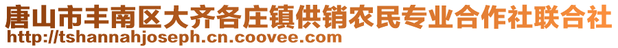 唐山市豐南區(qū)大齊各莊鎮(zhèn)供銷農民專業(yè)合作社聯(lián)合社