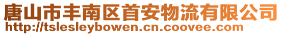 唐山市丰南区首安物流有限公司