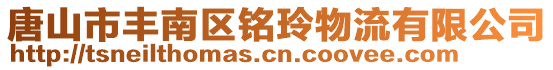 唐山市丰南区铭玲物流有限公司