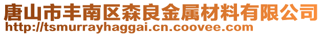 唐山市豐南區(qū)森良金屬材料有限公司