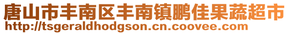 唐山市豐南區(qū)豐南鎮(zhèn)鵬佳果蔬超市