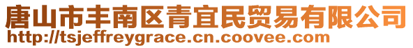 唐山市丰南区青宜民贸易有限公司