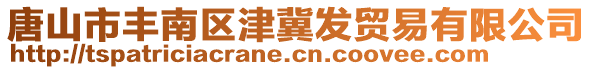 唐山市丰南区津冀发贸易有限公司