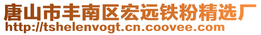 唐山市豐南區(qū)宏遠(yuǎn)鐵粉精選廠