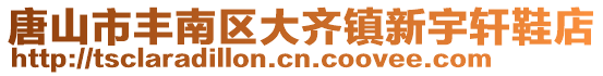 唐山市丰南区大齐镇新宇轩鞋店