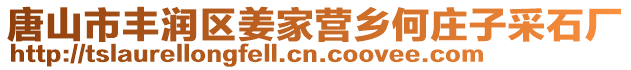 唐山市丰润区姜家营乡何庄子采石厂